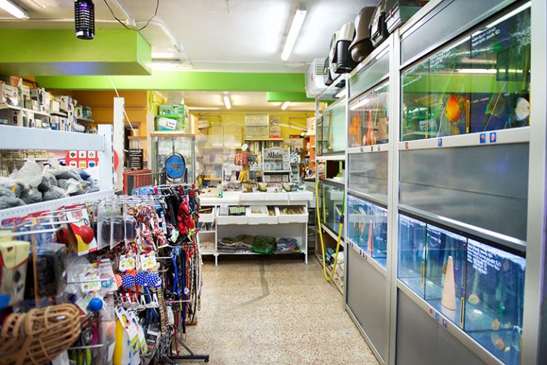 aqua terra amazonia interior 768x513