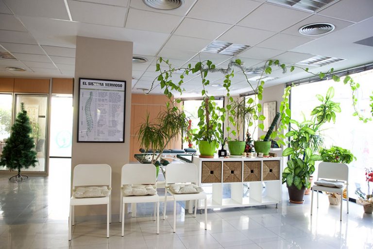 centro quiropractico interior 2 768x513