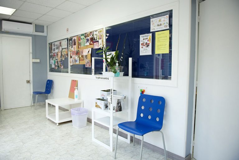 creu blava veterinaris interior 768x513