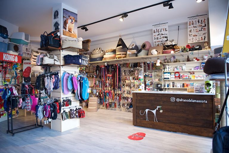 el raco de la mascota interior 1 768x513