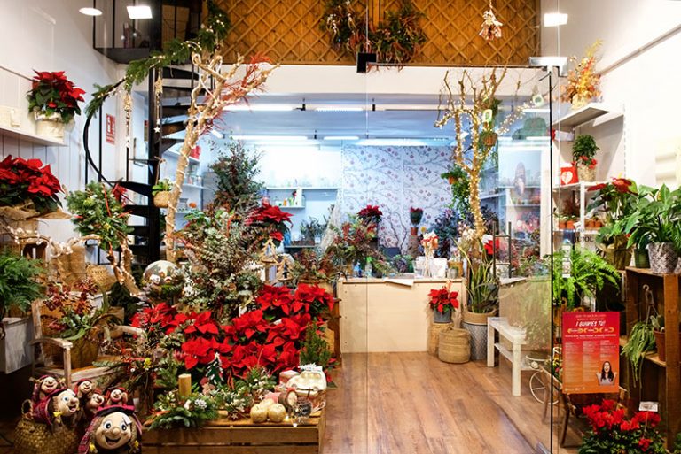 floristeria palmira interior 1 768x513