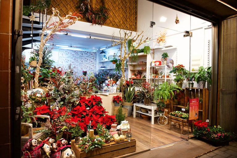 floristeria palmira interior 2 768x513