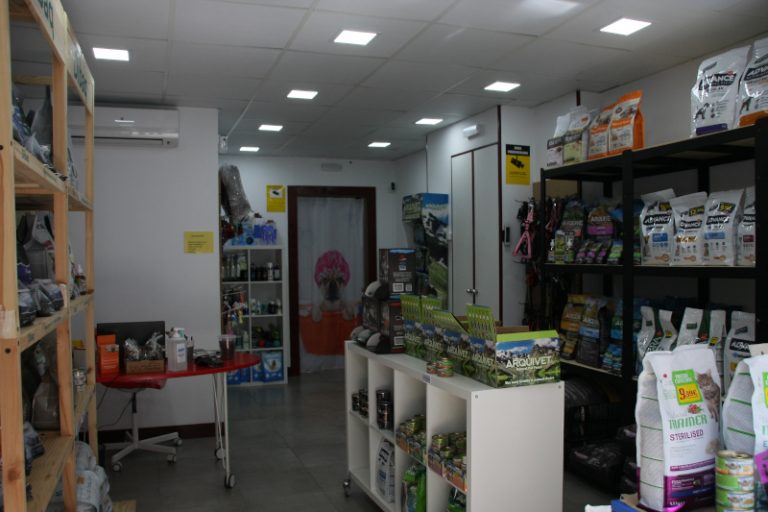 Animalades int 1 768x512