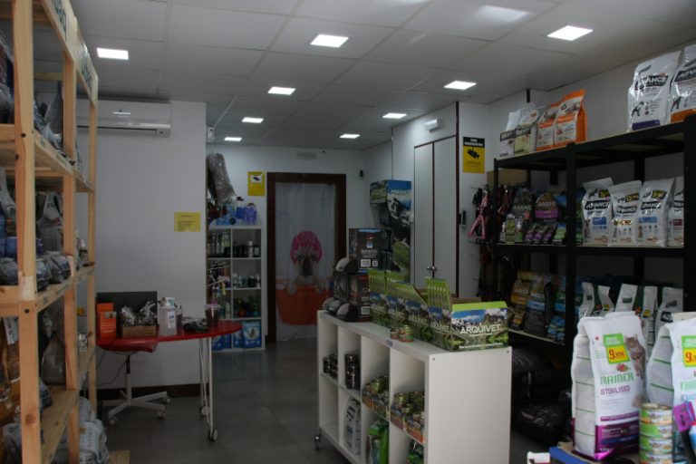 Animalades int 2 768x512