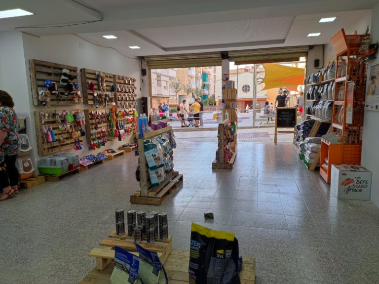 Patitas y huellas 2 768x575