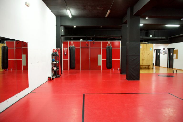 black belt interior 1 768x513