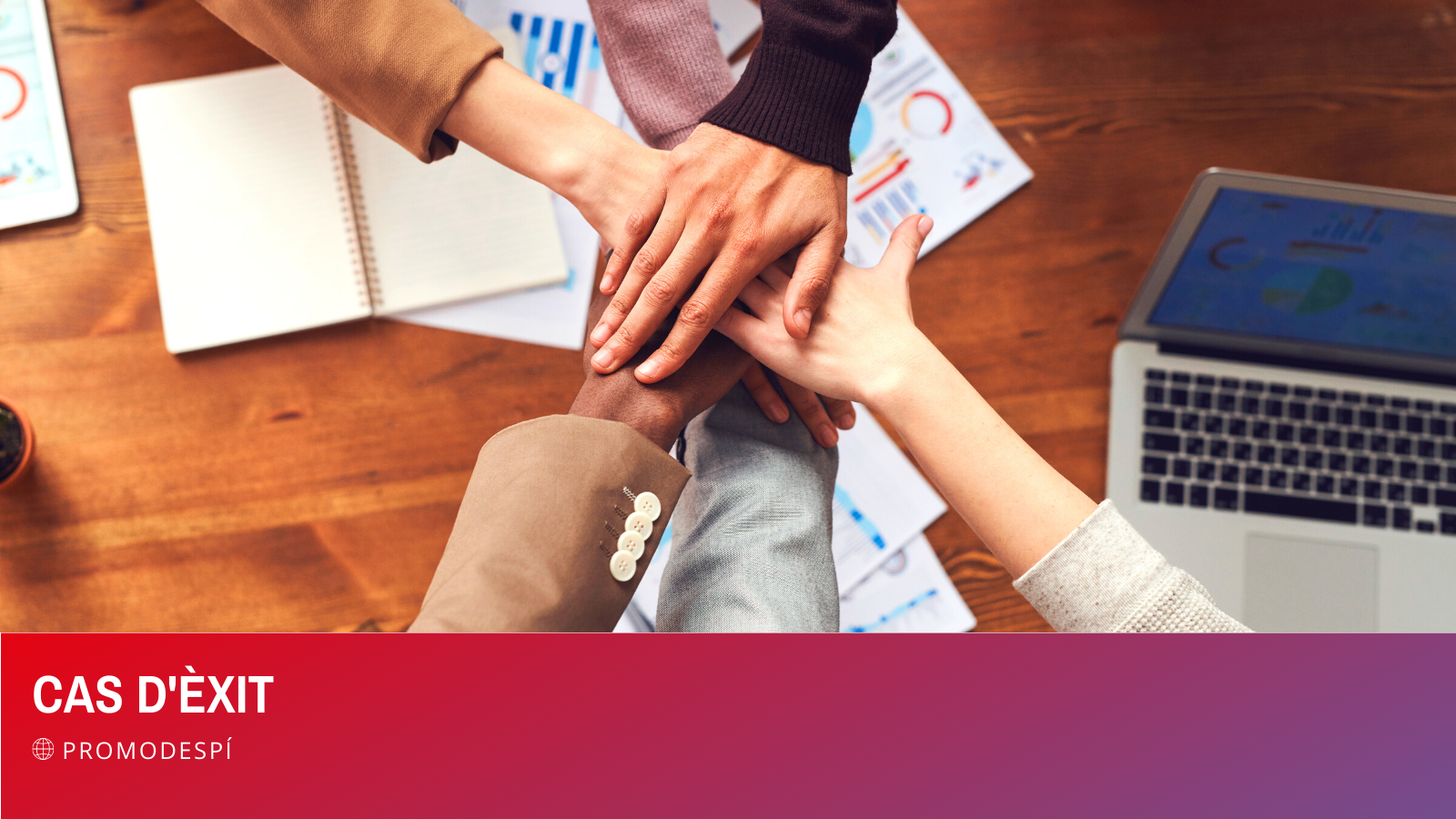 Cas d’Èxit Promodespí