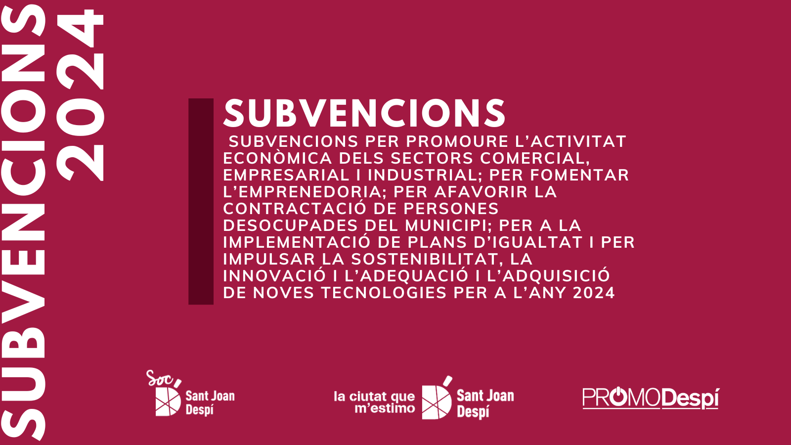 SUBVENCIONS 2024