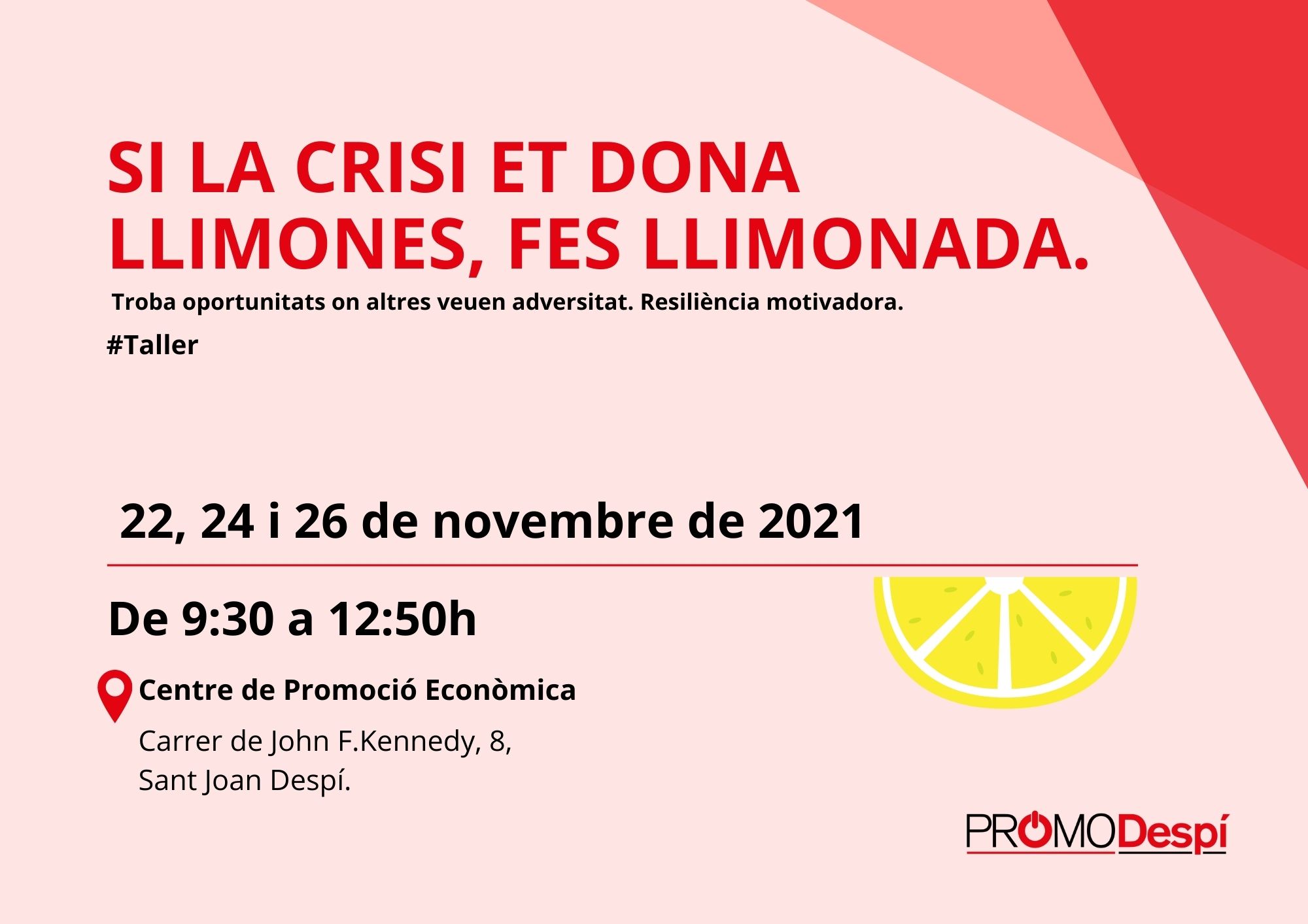 SI LA CRISI ET DÓNA LLIMONES, FES LLIMONADA.