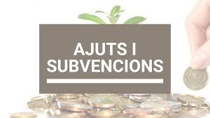 Ajut per al manteniment de l’activitat econòmica de persones autònomes i microempreses enfront la COVID-19