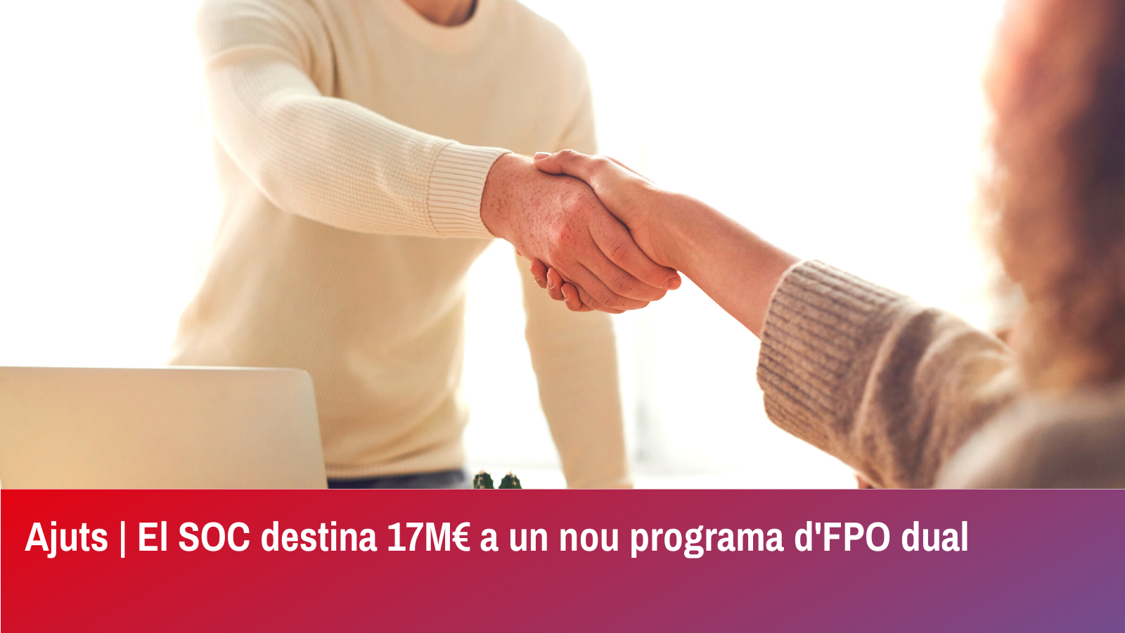 Subvencions per a la realització d’accions del Programa Formació Professional Ocupacional Dual.