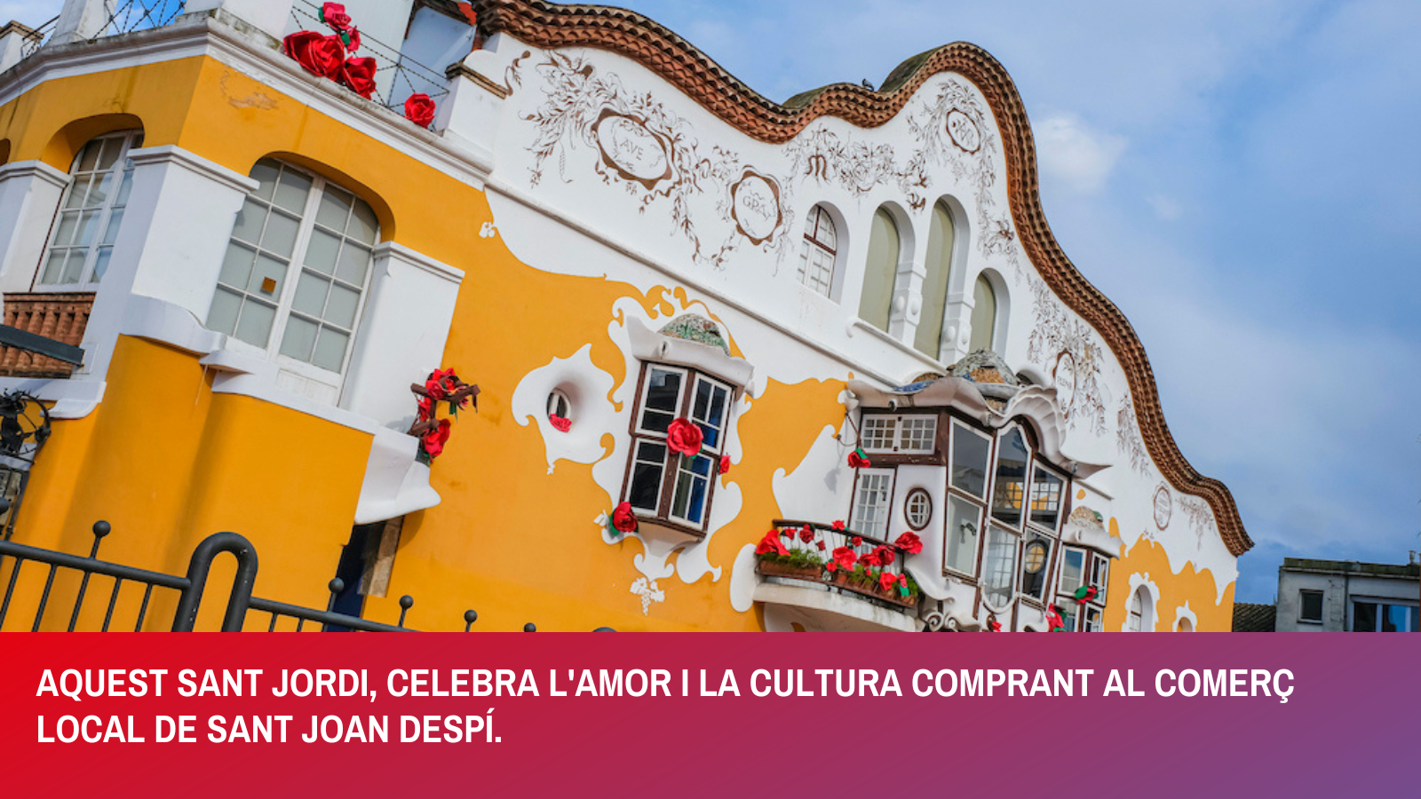 Troba el teu llibre i rosa perfectes a les botigues de la nostra ciutat.